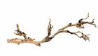 015561230773 2975518011 Exo Terra Forest Branch