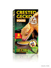 015561232609 Exo Terra Crested Gecko