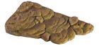 015561238014 2975449011 Exo Terra Turtle Bank