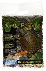 015561238304 2975513011 Exo Terra Turtle Pebbles