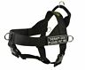 022099881292 Dean Tyler Dt Universal No Pull Dog Harness