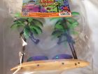 044757313211 Fmr Florida Hermit Crab 044757313211 Fmr Florida Hermit Crab