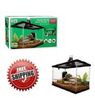 04826 Aqua Culture 10 Gallon 6920380204826 04826 Aqua Culture 10 Gallon 6920380204826