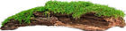 05276 Galapagos Mossy Bark 7598340 759834052760
