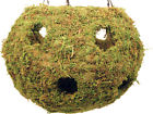 7598343 05345 Galapagos Mossy Cave With Holes 759834053453