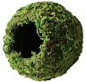 05348 Gal Pagos Mossy Cave Hide Green Sphagnum