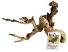 091197520037 Fluker Farms Flukers Iguana