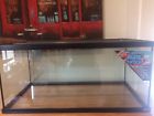 097612091465 Zoo Med 40 Gallon
