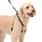 7084434 10058 Sporn Yup Pet Halter Large Black 708443100584