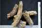 10lbs Bromeliad Tubes Bark Terrarium Orchid Bulk Reptile Tillandsia Cork Virgin