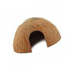 11256005 Pangea Cocohut Reptile Coconut Hide