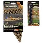11266281 Reptology Habitat Dcor Lizard Lounger Small 080687836833