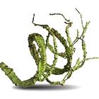 11276776 Sequoia Flexible Jungle Vines Pet Habitat Decor For 642940214958 11276776 Sequoia Flexible Jungle Vines Pet Habitat Decor For 642940214958