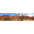 11295115 Reptile Habitat Background Arch With Tree For Terrarium 789185875237