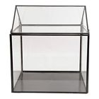 11x10x12.5 39893 A B Home Inch Terrarium Copper Antique 805845398936