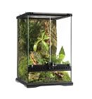12750 Tall Glass Reptile Snake 690284812750