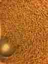 12lbsre-packed Tortoise Diet Mazuri Ls Sm Pellets Fresh Ships Fast Free