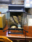 12x12x18 Exo-terra Exo Terra Terrarium Used Reptile Terranium Good Cond With Lighting