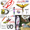 146 Pet Bird Harness Leash Medium Silver Supplies 857867001462