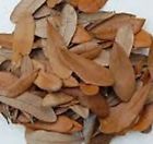 15-gallons Green Thumb Air Plants 1 Live Oak Leaf Litter And Magnolia