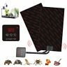 163w-130w-86w-46w-23wreptile001 Unbranded Reptile Mat Terrarium Heating Mats Waterproof 301153170863