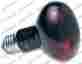 17267 Topdawg Pet Supply Zoo Med Laboratories 250 Watt Infrared Inc Nocturnal Bulb