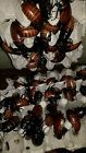 200-300x Unbranded Jumbo Hissing Cockroaches Adult