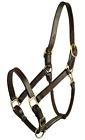 201-4 Gatsby Leather Classic Adjustable Halter 840875000435