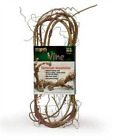 20161 Lees Vine Herb Habitat Decor Lee 010838201616
