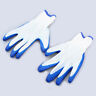 210801000072 Possbay Animal Handling Gloves Dog Cat Bird Parrot Hedgehog Reptile