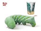 25-120 Live Hornworms The Worm Depot Aka Goliath Worms Reptile Bird Exotic Animal Food Treats