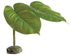 256188739458 Unbranded Exo Terra Scindapsus