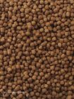 3.9mm Mazuri Aquatic Turtle Diet Extruded Floating Pellet 7 Lbs Free Shipping 3.9mm Mazuri Aquatic Turtle Diet Extruded Floating Pellet 7 Lbs Free Shipping