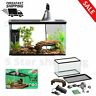 313033260205 Aqua Culture Gallon Aquatic Reptile Turtle Habitat Starter