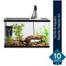 313088646603 Aqua Culture Gallon Reptile Tank Habitat Kit Turtle