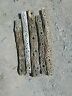 342341 Unbranded Piece Lot Of Inch Long Cholla Cactus Skeletons