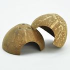 363735 Niteangel Pack Decorative Natural Coconut Hideouts Spider And 4043952522479