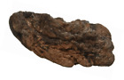 37088 Magnaturals Mushroom Ledge 764789014008