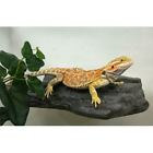 37092 Magnaturals Aquarium Dcor Rock Ledge Medium Granite 764789014060