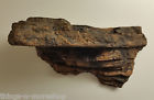 37099 Magnaturals Large Rock Ledge Magnets
