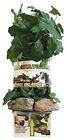 37101 Magnaturals Jungle Vine Bridge 764789014121