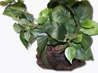37123 Magnaturals Planter Ledge 0767744075342