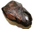 37131 Magnaturals Hideaway Earth 764789014565