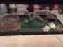 40gal Tank Reptile