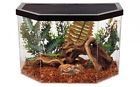 42638 Reptile Tank 5 Gallon 649490942638