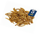 4316369884 Mealworms By The Pound Mbtp Bulk Dried Treats 855297003476