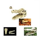 4334830742 Reptile Cave Terrarium Decoration Hideout Tank Dcor Skull 606413714383