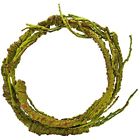 4334830860 Flexible Jungle Vines Natural Habitat Decor For Lizard 615311944174