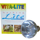 4642 Durotest-vitalite 30w R20 Reptile