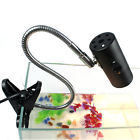 4894425681274 Ids Clip On Lamp Holder For Tortoise Reptile